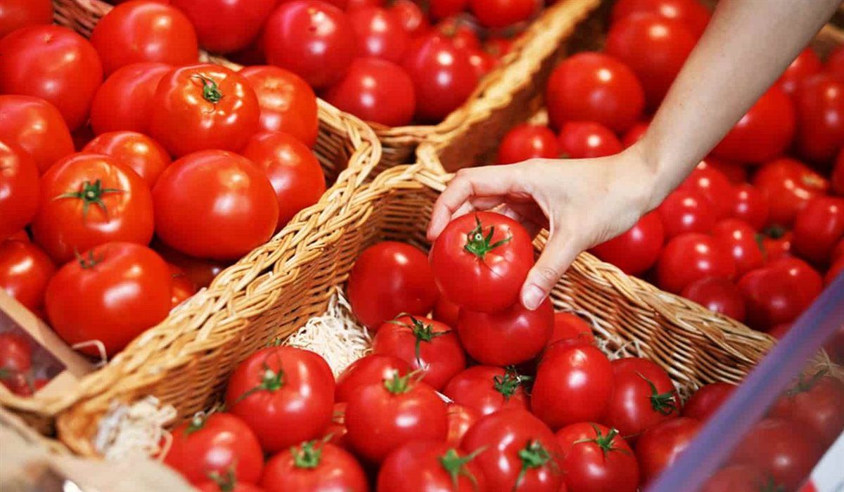 اسعار الطماطم اليوم، فيتو