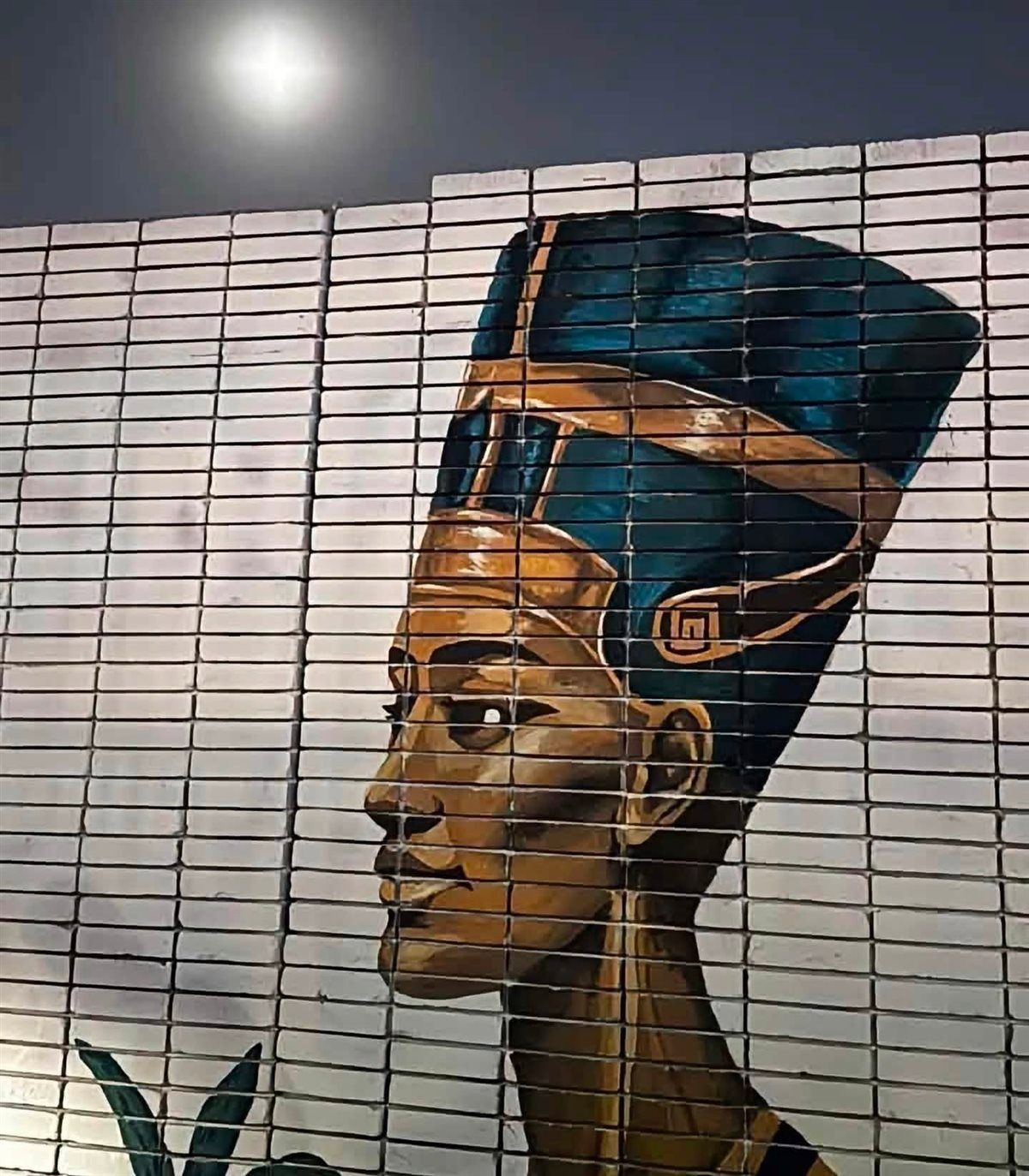 1dd3846e89.jpg