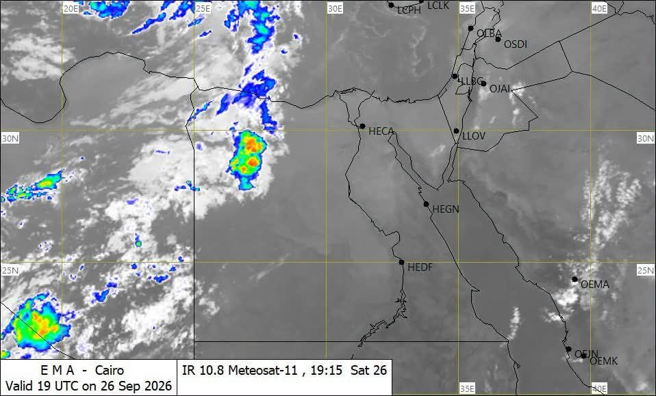 208c999142.jpg