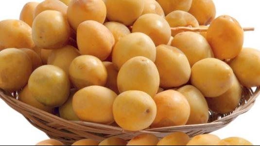 أسعار البلح والتمور، فيتو