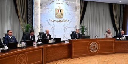 ماجستير وصيدلة وطب أسنان، قرارات جديدة لتوسيع برامج الجامعات الأجنبية في مصر
