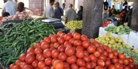 سعر الخضار اليوم، ارتفاع 10 أصناف منها الطماطم والخيار والفلفل وانخفاض البامية