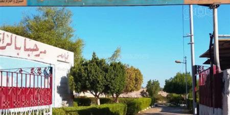 مدينة أبو سمبل السياحية بأسوان تواصل جهودها استعدادا للعام الدراسي الجديد (صور)