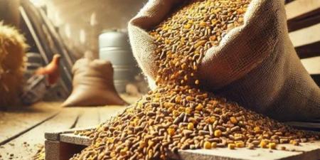 انخفاض الردة وارتفاع كسب الصويا، أسعار الأعلاف والحبوب اليوم في الأسواق