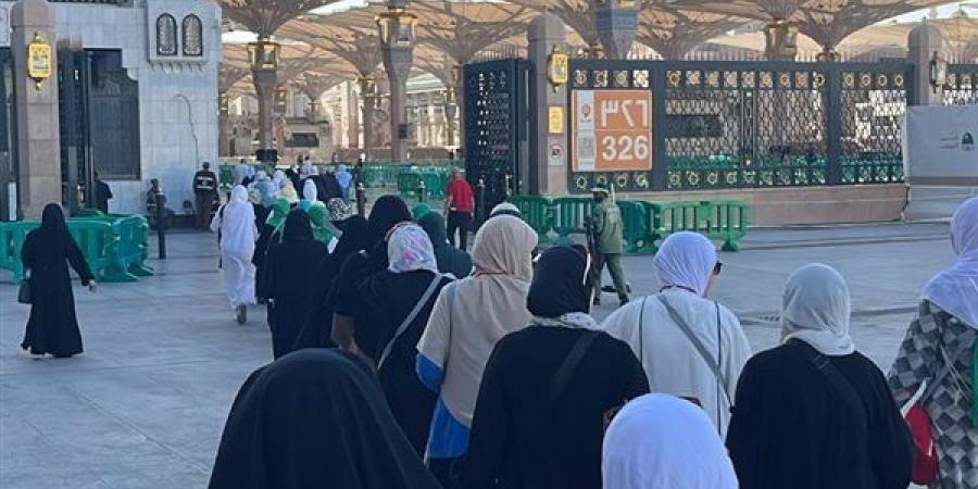 التضامن تفتح باب التقديم لحج الجمعيات الأهلية 2027، وهذه شروط التقديم والقبول