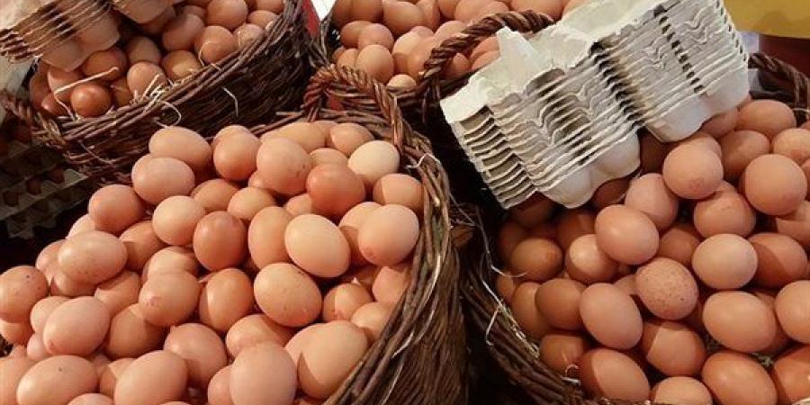 انخفاض الأحمر والأبيض، سعر كرتونة البيض اليوم الأحد في بورصة الدواجن