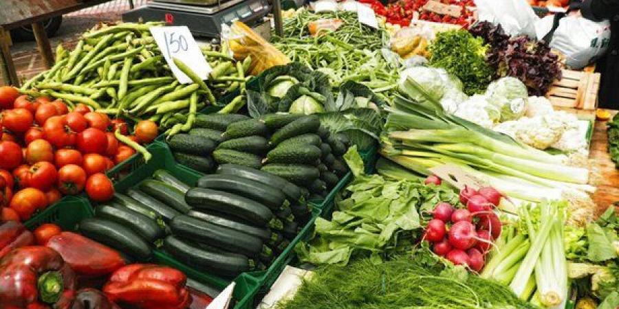 سعر الخضار اليوم، الطماطم تسجل 15 جنيها "جملة" وقفزة في خيار الصوب