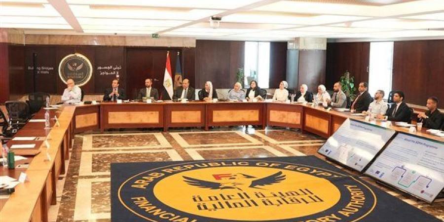 "الرقابة المالية" تعقد ورشة عمل بالتعاون مع الاتحاد الأوروبي وبرنامج الأمم المتحدة الإنمائي