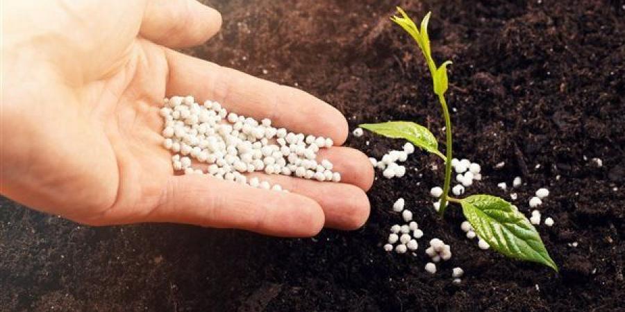 يصل إلى 1640 جنيها، انخفاض أسعار الأسمدة اليوم بالأسواق