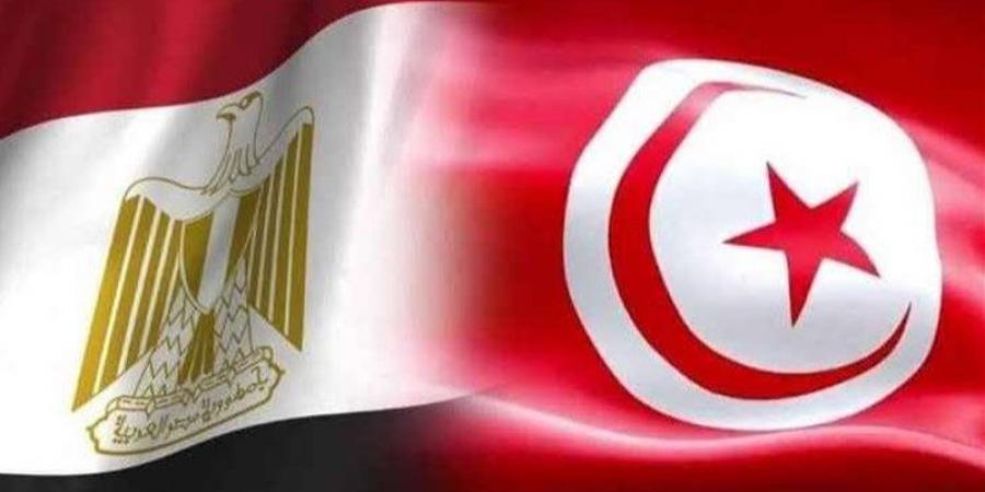 صراع تاريخي، يد مصر تتفوق والطائرة تفشل في مجاراة "نسور قرطاج"